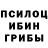 Галлюциногенные грибы Cubensis Nuits Grom