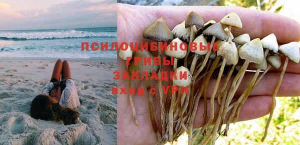 кокаин Новозыбков